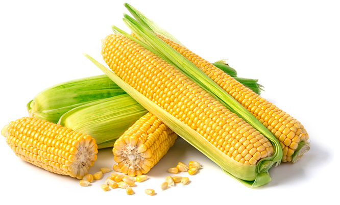 Corn